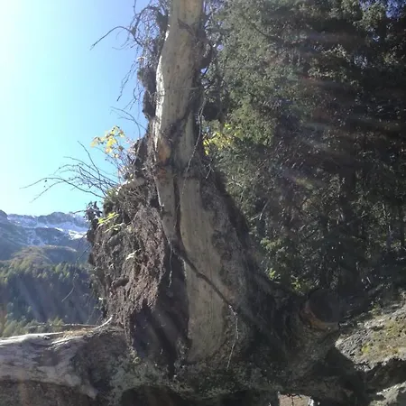 Zweimäderlhaus Apartment *