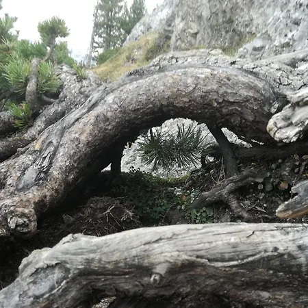 Apartman Zweimaederlhaus