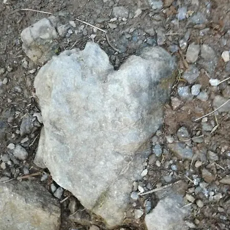 Apartment Zweimaederlhaus Bad Mitterndorf