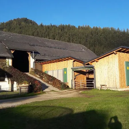 Zweimäderlhaus Apartment *