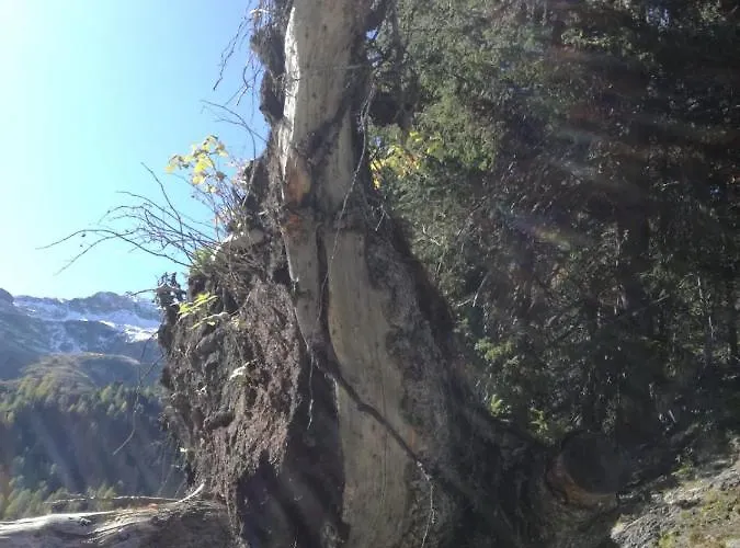 Zweimaederlhaus Апартаменты *