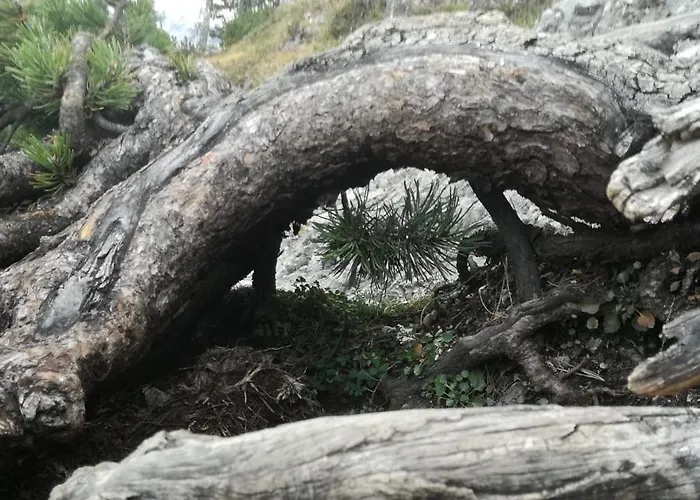 Апартаменты Zweimaederlhaus