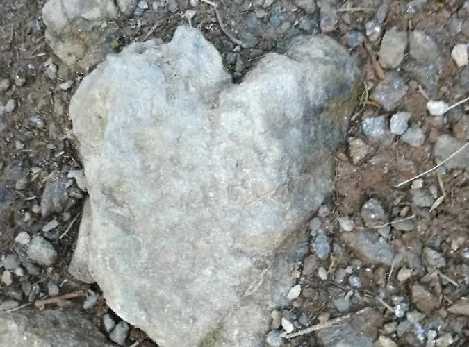 Апартаменты Zweimaederlhaus Бад-Миттерндорф