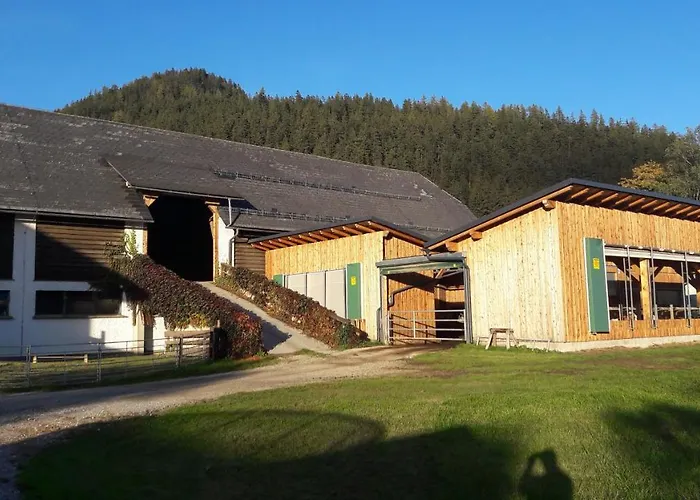 Zweimaederlhaus Apartmán *