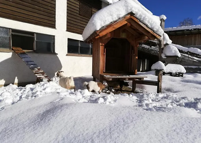 Zweimaederlhaus Апартаменты Бад-Миттерндорф